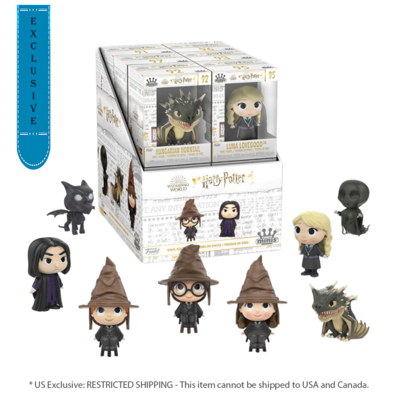 Harry Potter - US Exclusive Mini Vinyls (Single Unit)